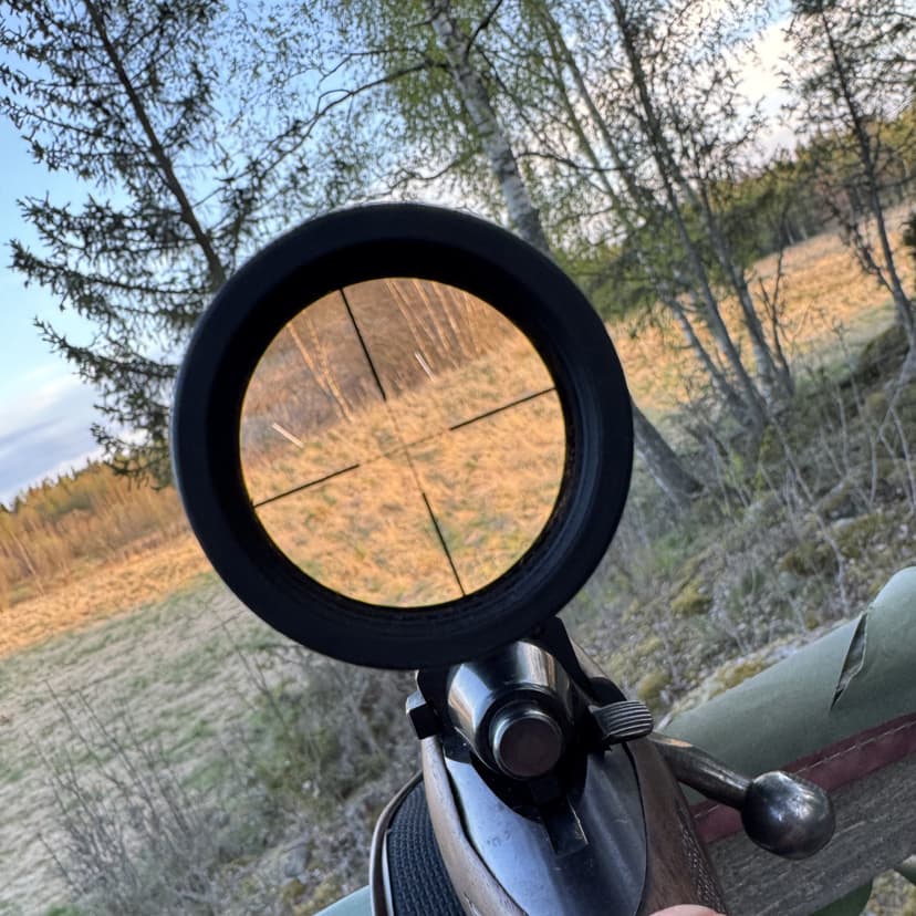 Scope for hunting